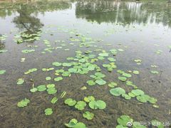 -滆湖低碳生态公园