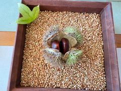 -无味舒食(环岛路店)