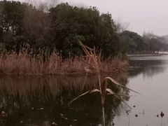 -上海市保健医疗中心