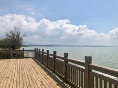 -呈贡滇池生态湿地公园