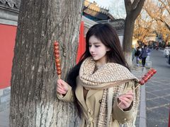 -北京国子监胡同