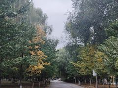 -长白岛森林公园