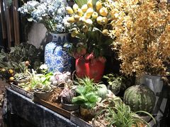 -范设计花园餐酒咖·中西餐·咖啡厅·酒馆