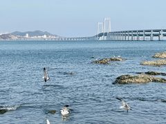 -黑石礁公园