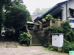 -龙井村