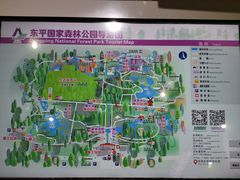 -东平国家森林公园