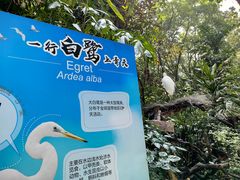 -广州长隆飞鸟乐园