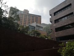 -香港大学