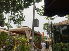 -二荆条·蜀鲜汇城市森林火锅