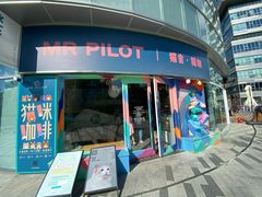 -飞行喵MR PILOT|猫舍·猫咖(静安大融城店)