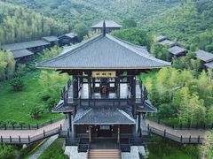 -大唐贡茶院
