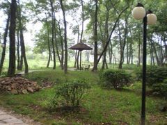 金孔雀温泉旅游度假村-金孔雀温泉旅游度假村