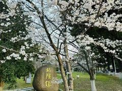 -苏州大学(天赐庄校区)