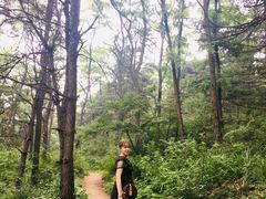 -沈阳辉山风景区