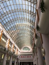 -上海交通大学医学院附属上海儿童医学中心(陆家嘴总院区)