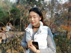 -熊猫不走蛋糕（同城送）(长沙店)