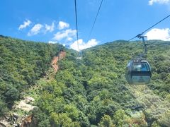 -普陀山风景区-佛顶山