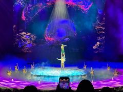 -水秀国际大剧院