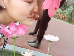 -荷兰花海