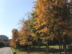 -长春世界雕塑园冰雪艺术天地