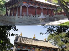 -护国法轮寺