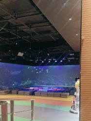 -小鸡哆哆故事屋·儿童乐园(嘉里城店)