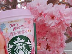 -莱阳濯村樱花园