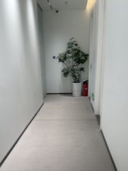 点击看大图 -玛莲朵·海菲秀冰珀科