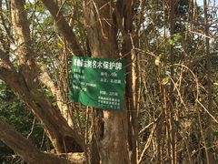 -第一山景区