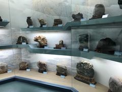 景点-甘肃地质博物馆