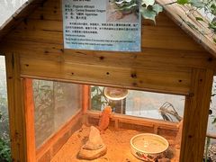 -上海大自然野生昆虫馆