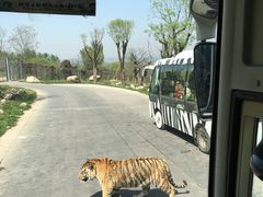 -西安秦岭野生动物园