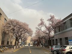 -吉林大学(南岭校区)