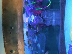 -沈阳海洋探索中心