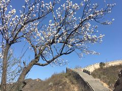 -辛玛王国游乐园