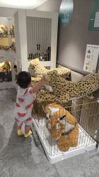 -奈尔宝·儿童乐园·亲子餐厅(华采天地店)