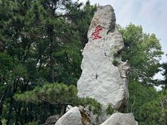 -东湖落雁景区