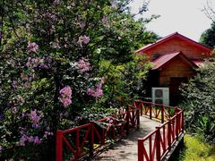 -国家植物园南园