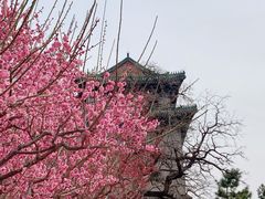 -北京明城墙遗址公园