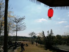 -天适樱花悠乐园