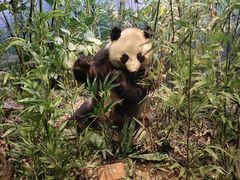 -陕西自然博物馆