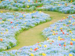 -上海辰山植物园