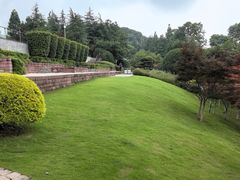 -铁山坪森林公园