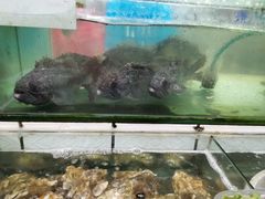 -海香园饭店