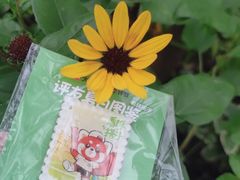 -天鹅湖体育公园