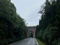-宜兴龙背山森林公园