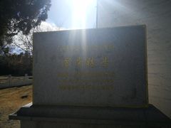 -罗布林卡