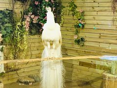 -洛阳龙门海洋馆