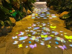 -泉城欧乐堡戏水湾艺术养生温泉