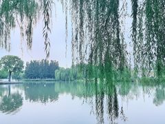 -海淀公园